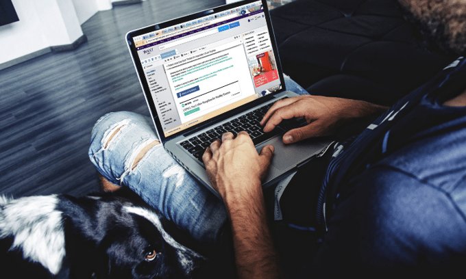 Best Email Survey Subject Lines to Drive More Feedback: Tips and Strategies