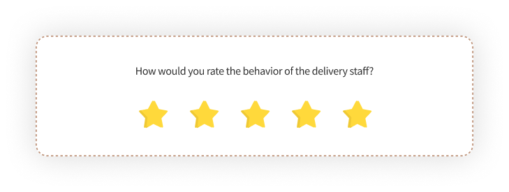 5-star surveys Delivery Experience