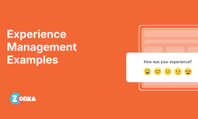 Experience Management Examples