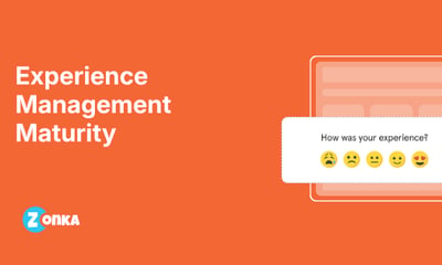 Experience Management Maturity