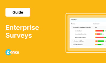 Enterprise Surveys: The Complete Guide