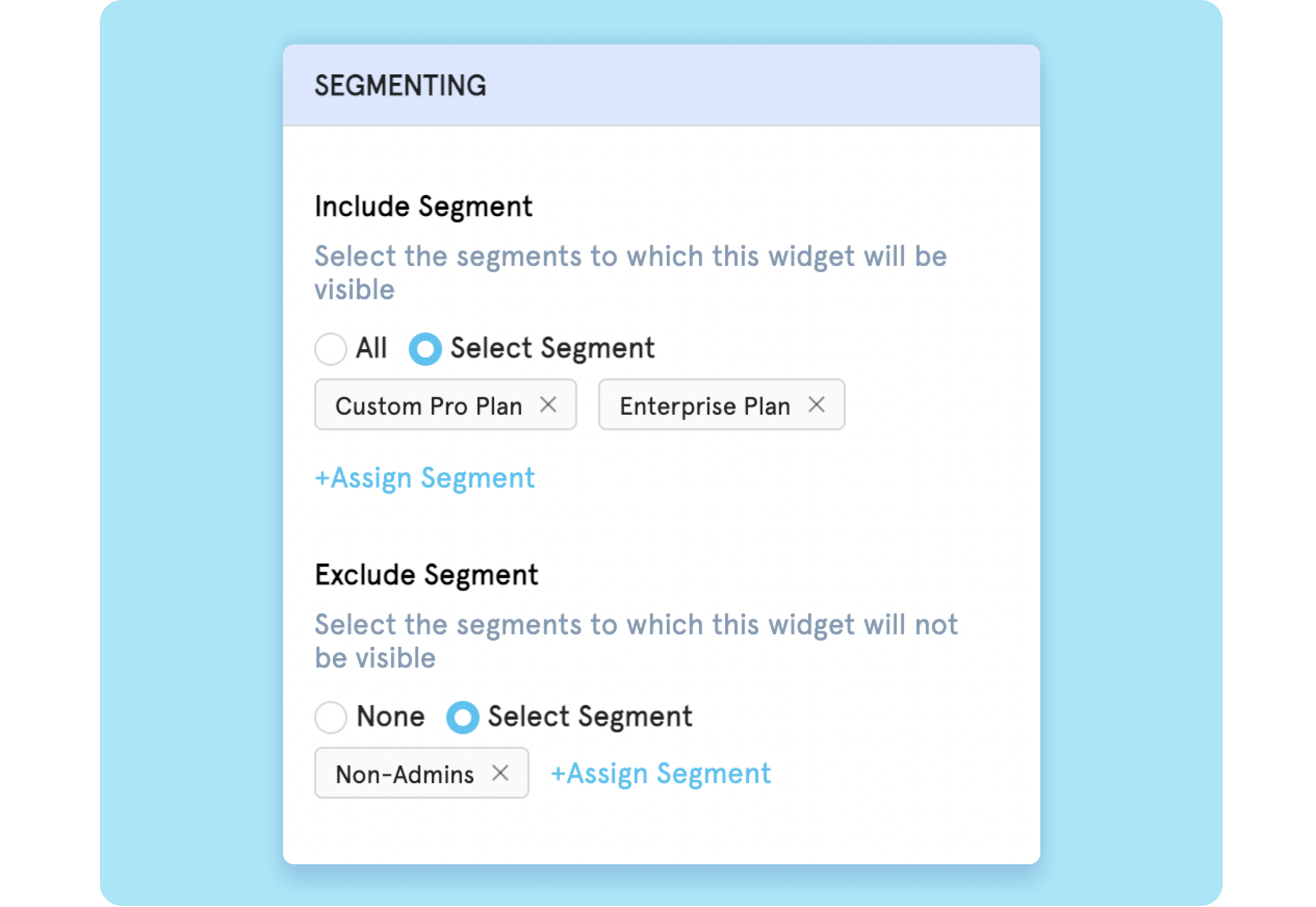 Including and Excluding Segments in Web Widgets
