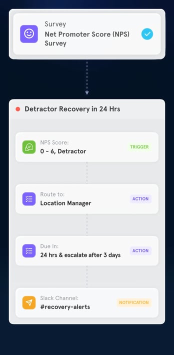 Workflows Tab - IMG