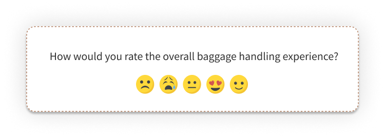 airport passenger survey questionnaire on baggage handling