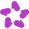 asknicely logo(6)