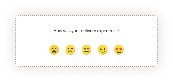 eCommerce survey sample for delivery experience