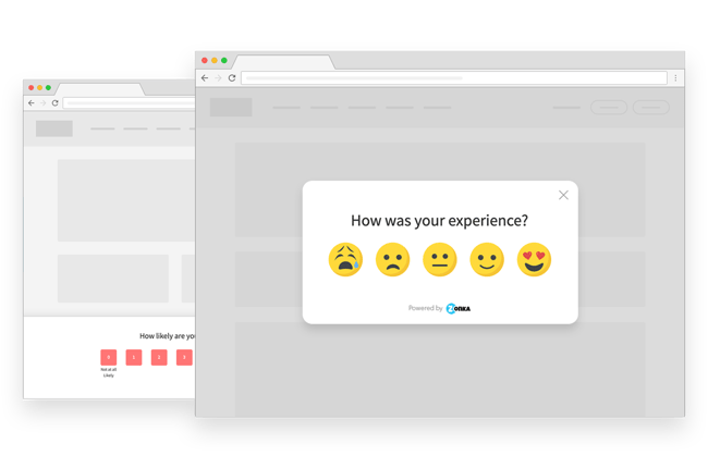 ecommerce survey questions - website surveys