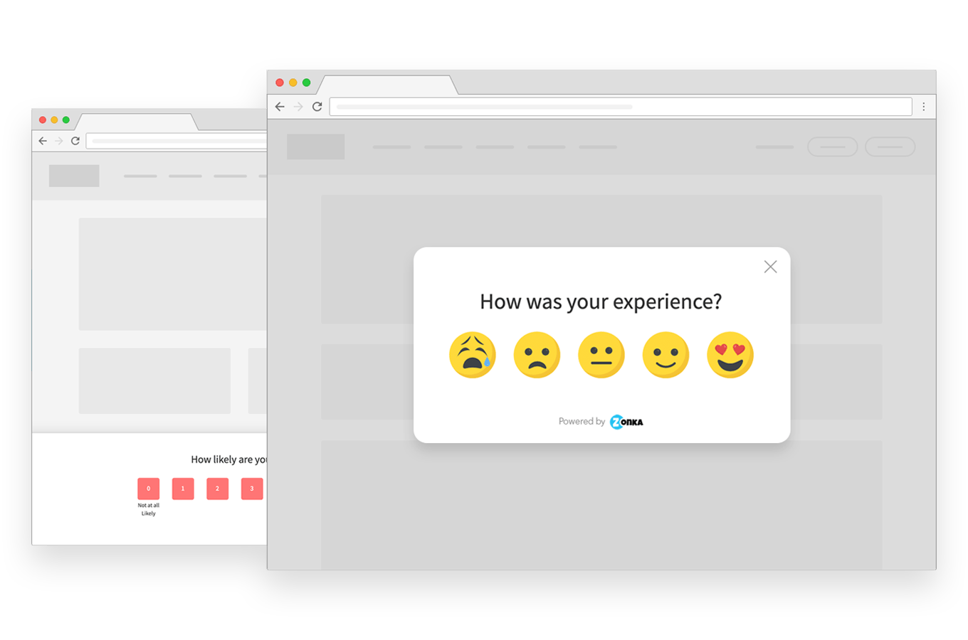 ecommerce survey questions - website surveys