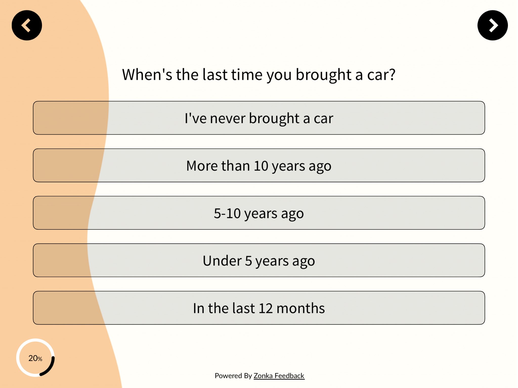 Consumer Behavior Survey Template