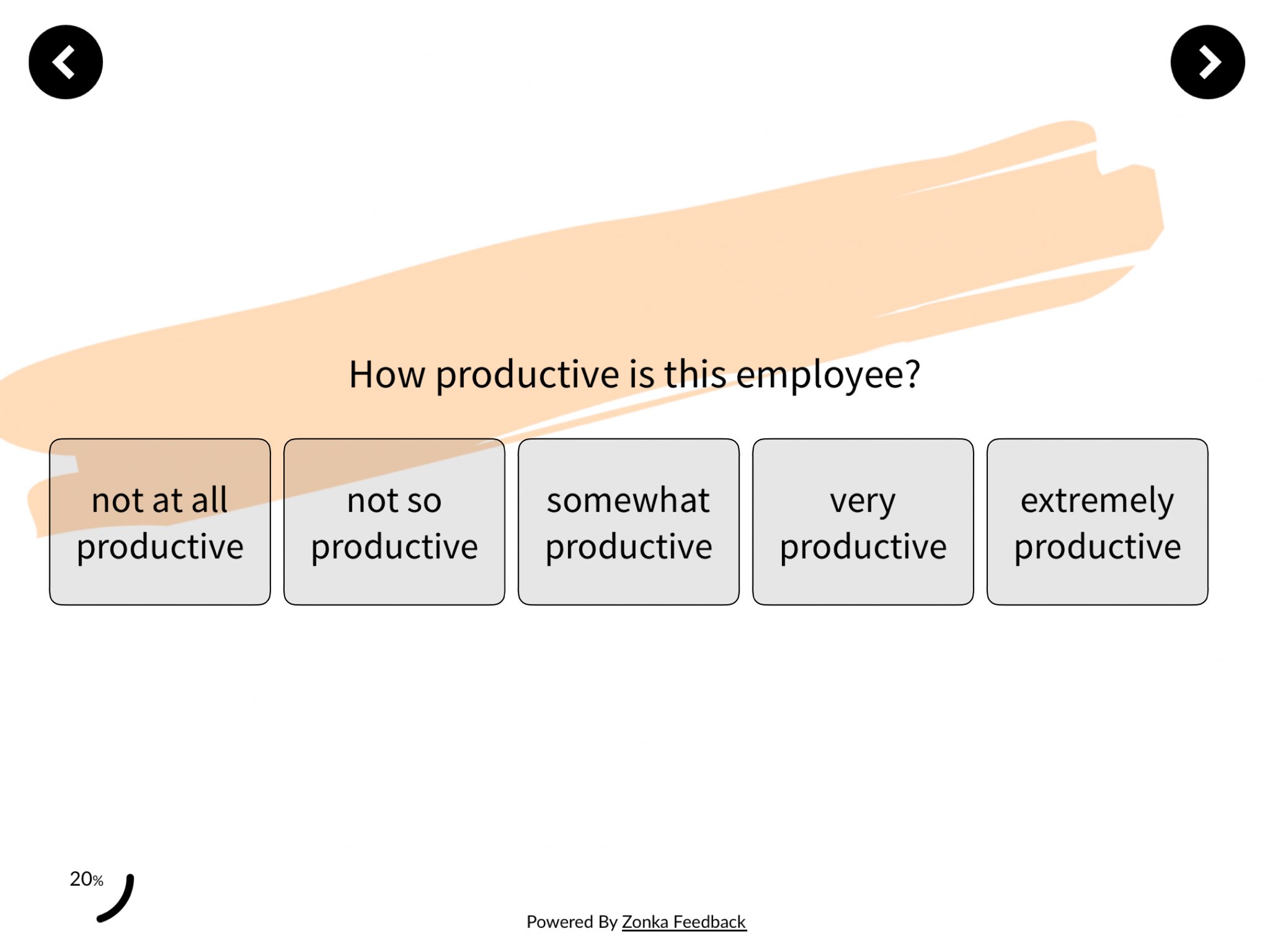 Employee Performance Survey	