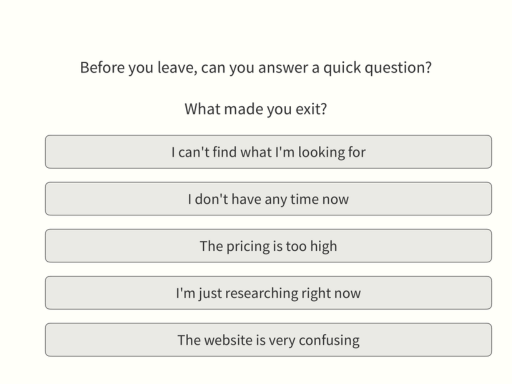 Website Exit Intent Survey Template