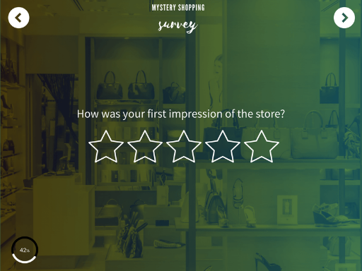 Mystery Shopping Survey Template