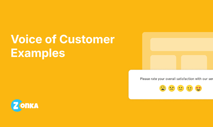 14 Voice of Customer Examples: Real Programs by Industry