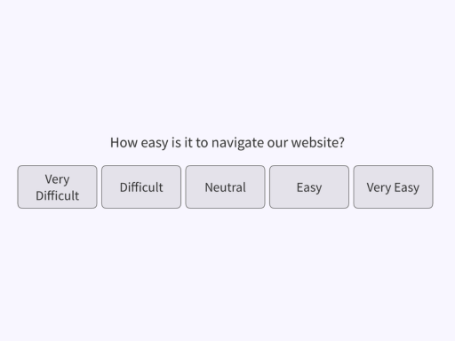 Website Accessibility Survey Template