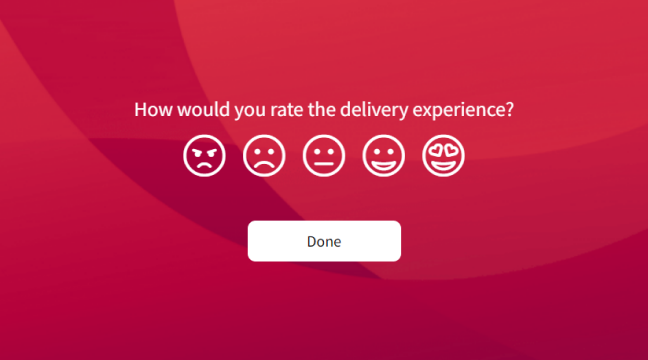 Product Delivery Survey